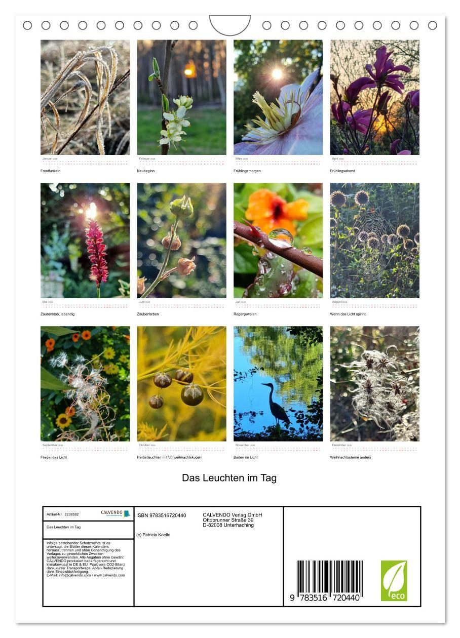 Beispielinhalt (Bild) Das Leuchten im Tag (Wandkalender 2026 DIN A4 hoch), CALVENDO Monatskalender