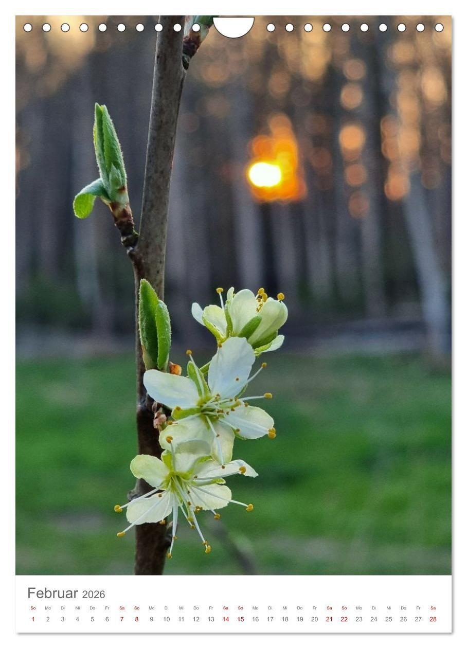 Beispielinhalt (Bild) Das Leuchten im Tag (Wandkalender 2026 DIN A4 hoch), CALVENDO Monatskalender