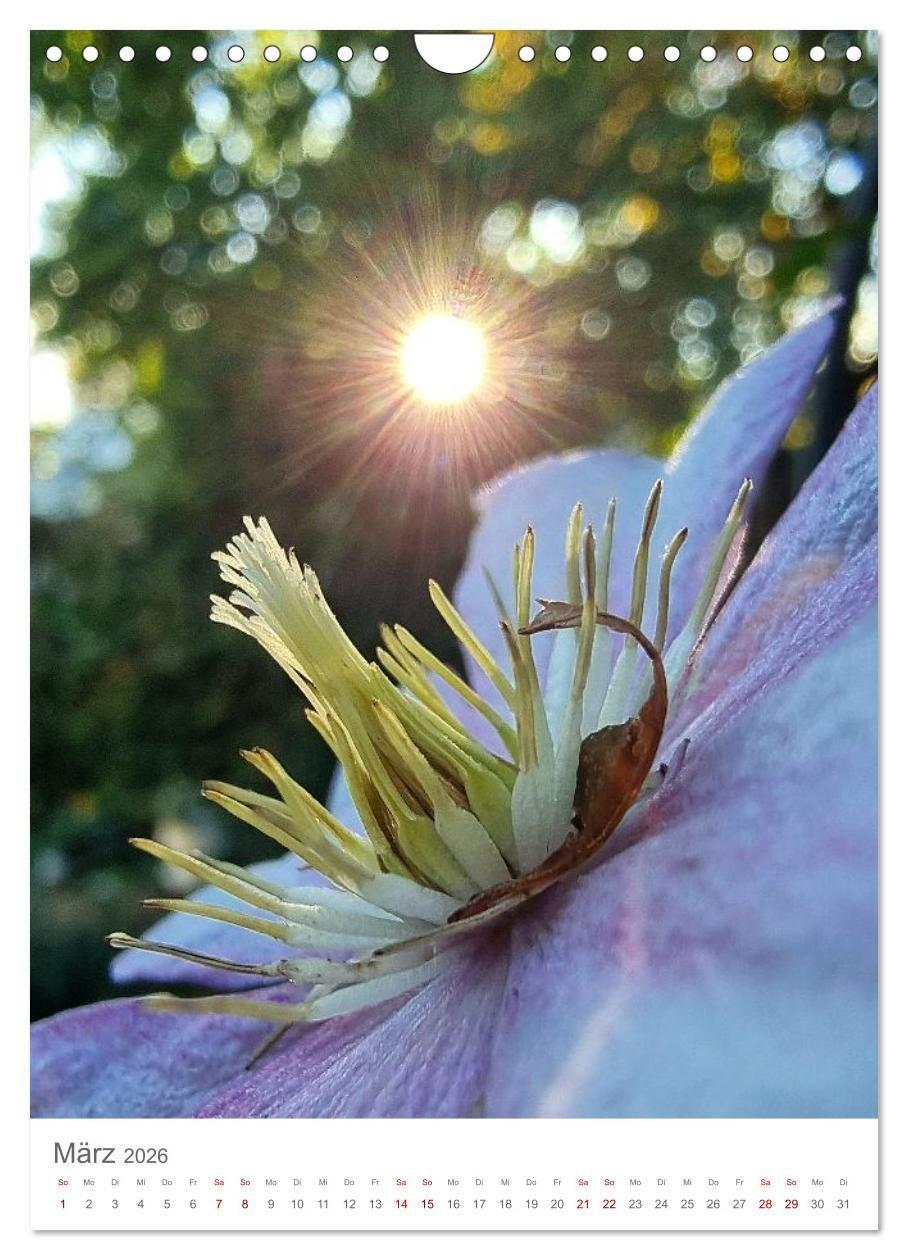 Beispielinhalt (Bild) Das Leuchten im Tag (Wandkalender 2026 DIN A4 hoch), CALVENDO Monatskalender