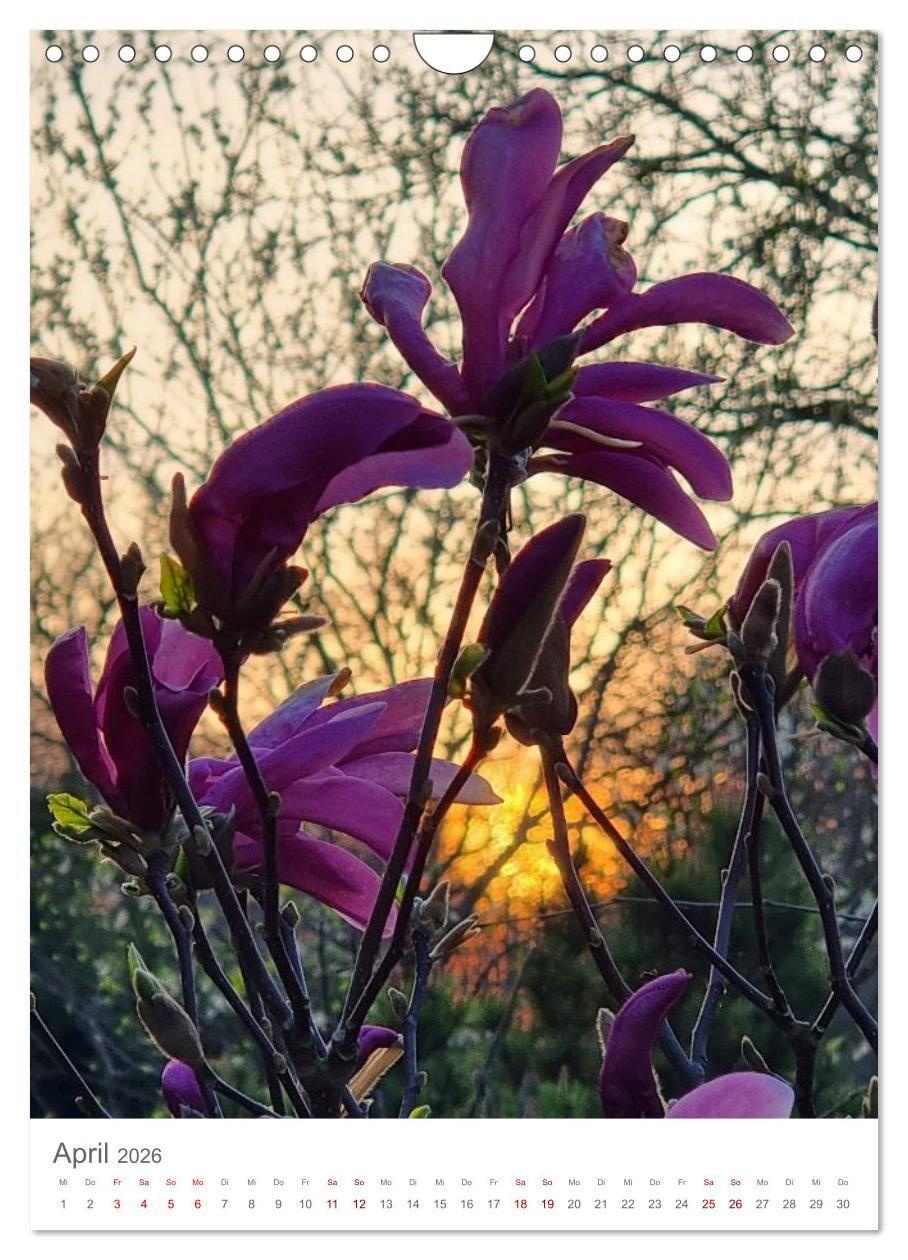 Beispielinhalt (Bild) Das Leuchten im Tag (Wandkalender 2026 DIN A4 hoch), CALVENDO Monatskalender