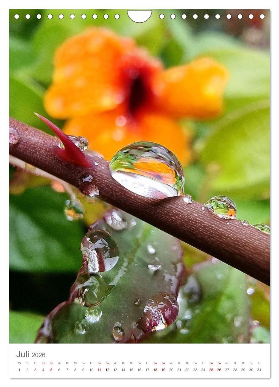 Beispielinhalt (Bild) Das Leuchten im Tag (Wandkalender 2026 DIN A4 hoch), CALVENDO Monatskalender