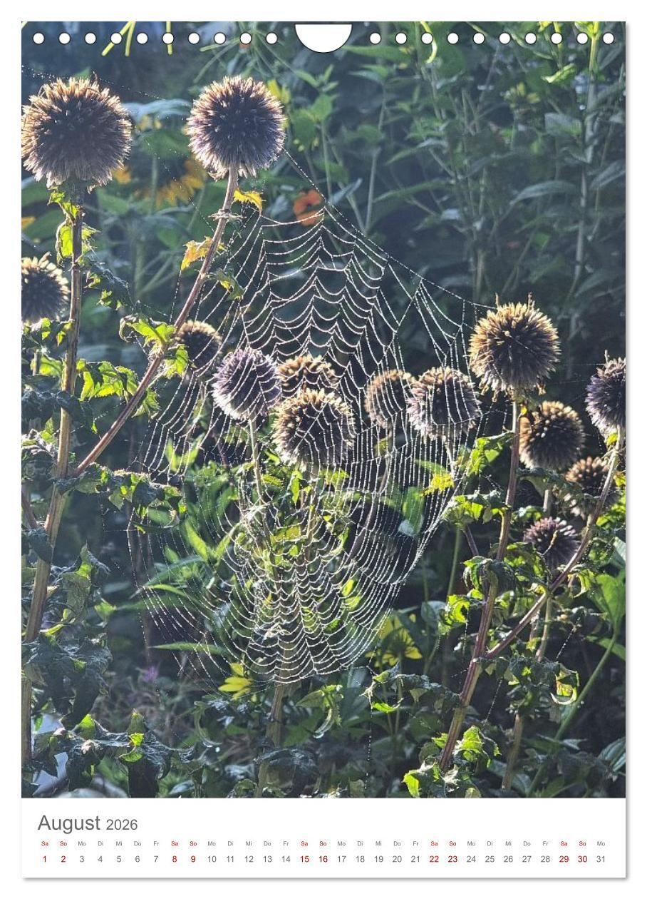 Beispielinhalt (Bild) Das Leuchten im Tag (Wandkalender 2026 DIN A4 hoch), CALVENDO Monatskalender