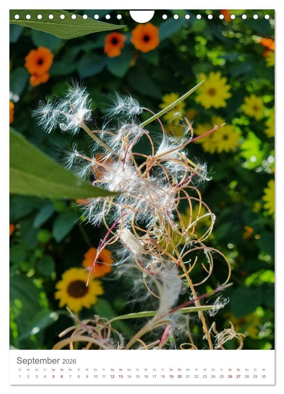 Beispielinhalt (Bild) Das Leuchten im Tag (Wandkalender 2026 DIN A4 hoch), CALVENDO Monatskalender