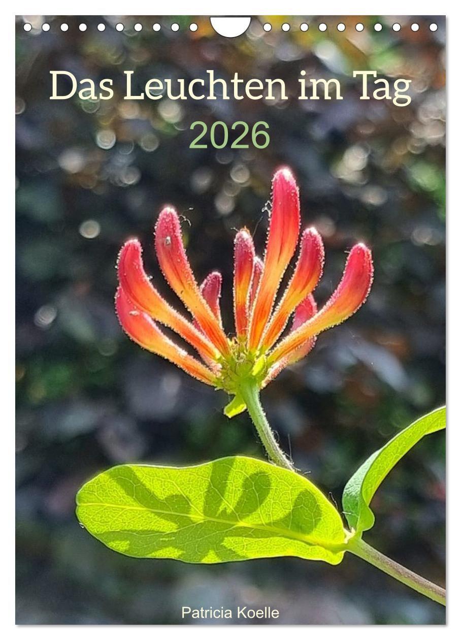 Vorderes Coverbild Das Leuchten im Tag (Wandkalender 2026 DIN A4 hoch), CALVENDO Monatskalender
