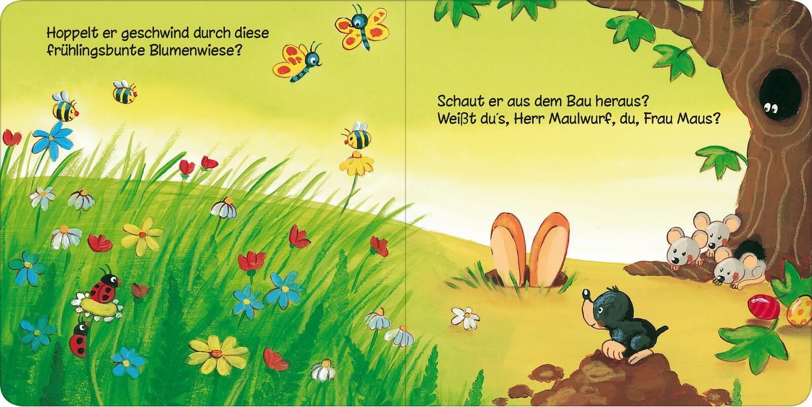 Beispielinhalt (Bild) Wo bist du, kleiner Osterhase?