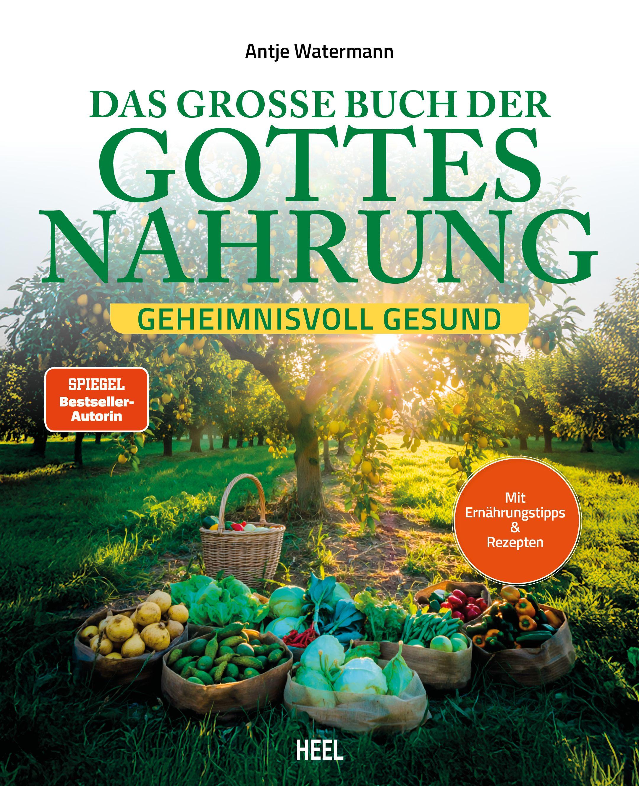 Vorderes Coverbild Das große Buch der Gottesnahrung