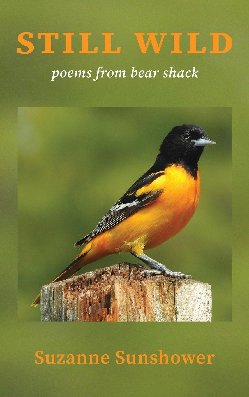 Vorderes Coverbild Still Wild