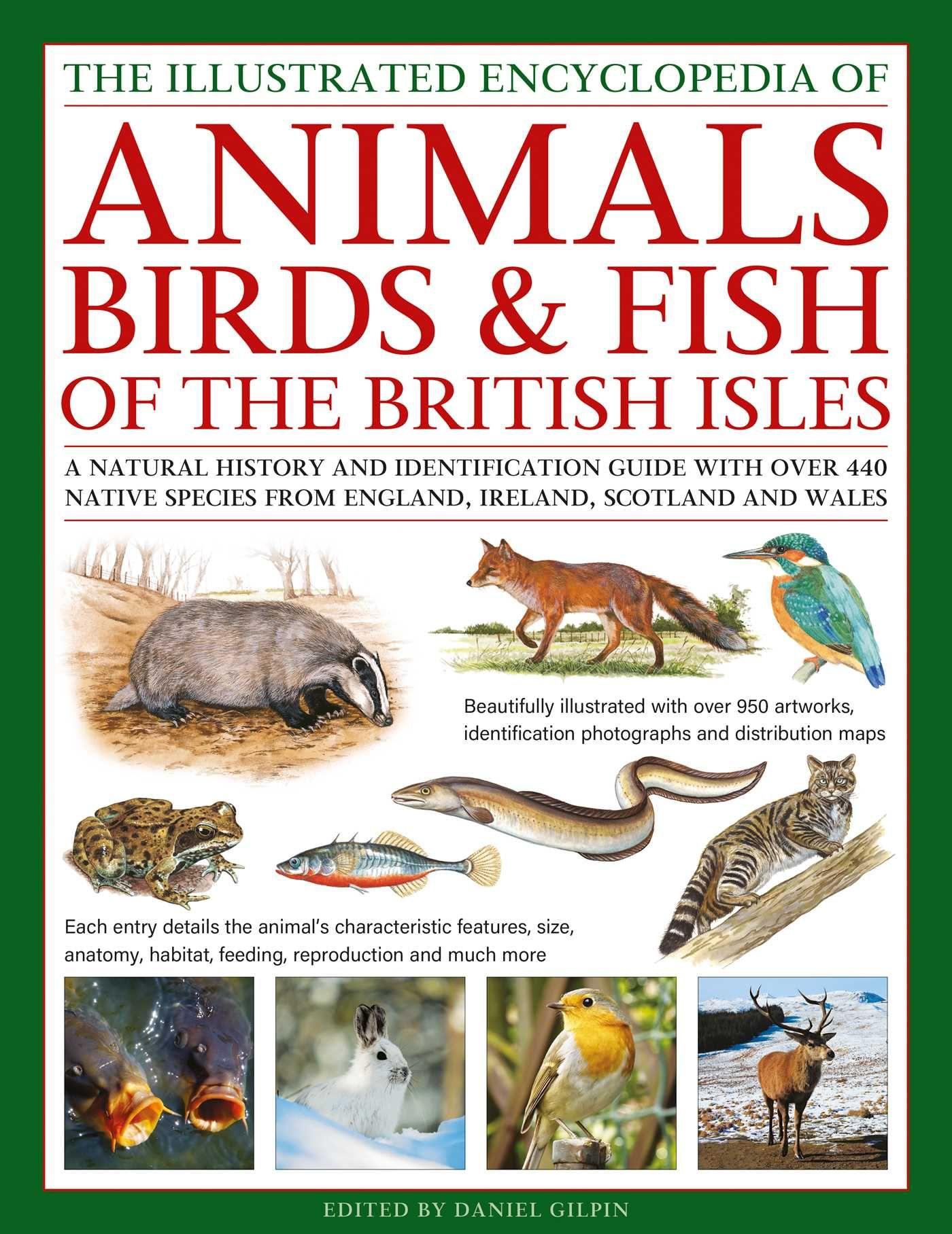 Vorderes Coverbild The Animals, Birds & Fish of the British Isles, Illustrated Guide to