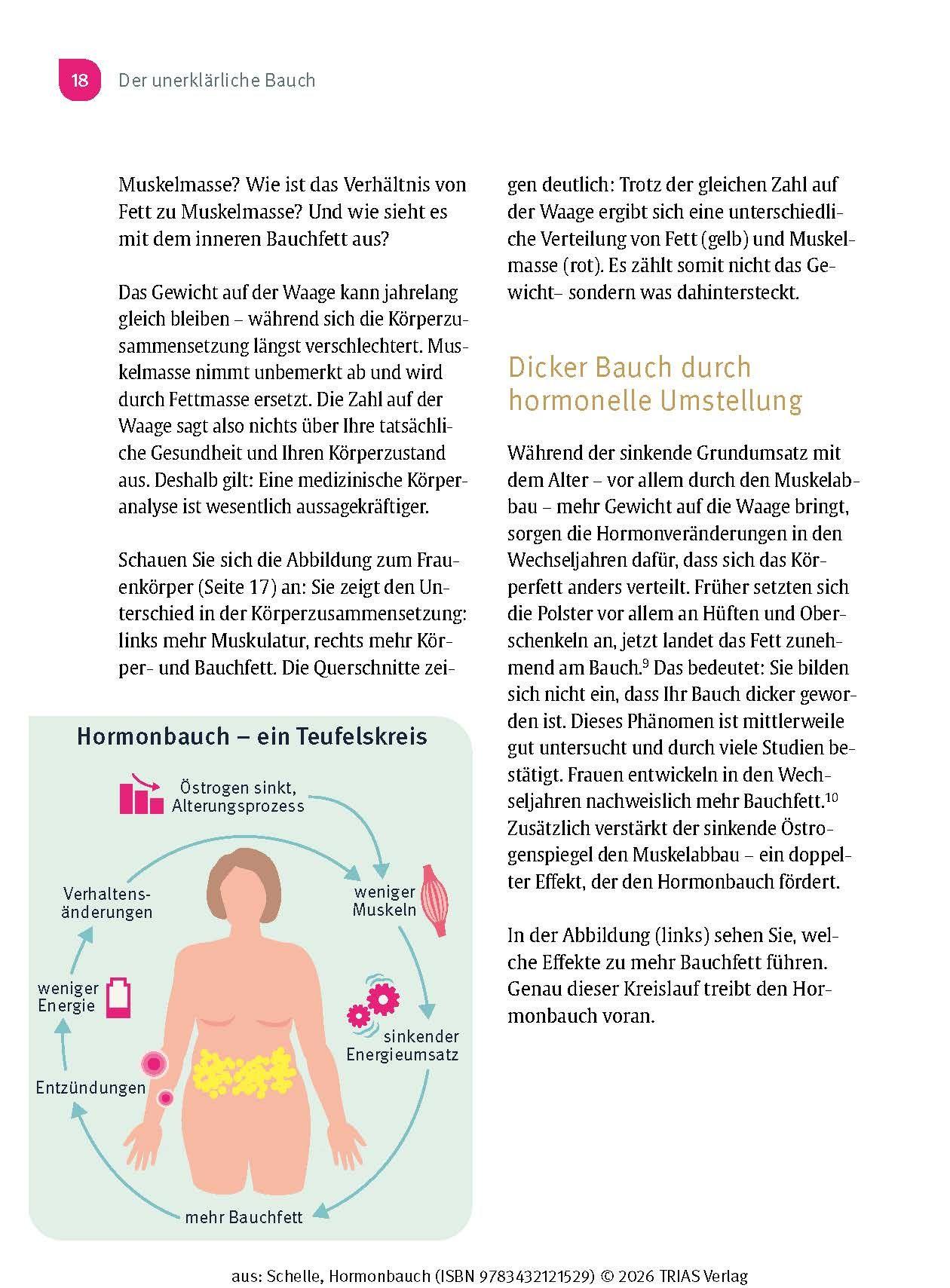 Beispielinhalt (Bild) Hormonbauch
