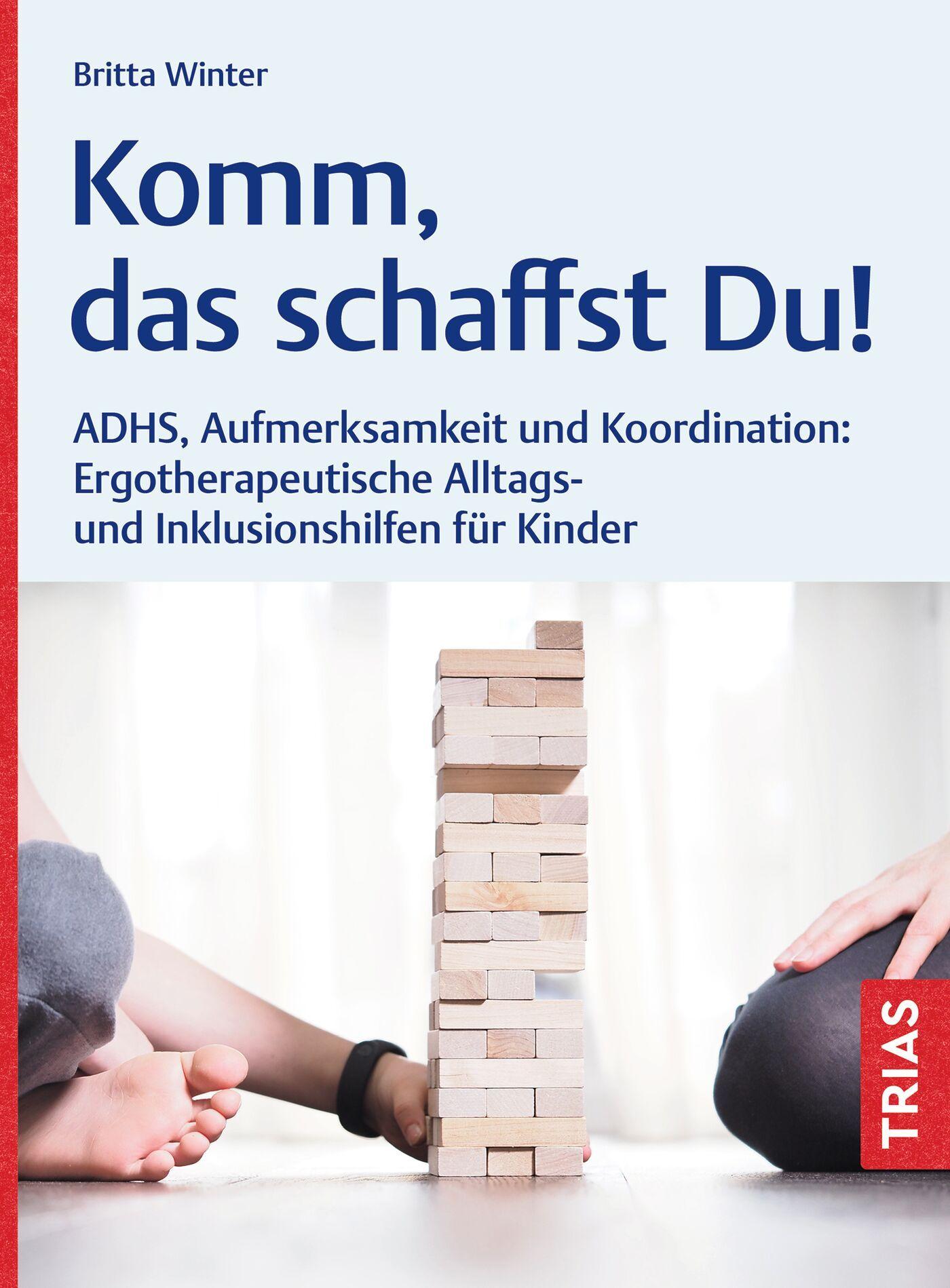 Vorderes Coverbild Komm, das schaffst Du!