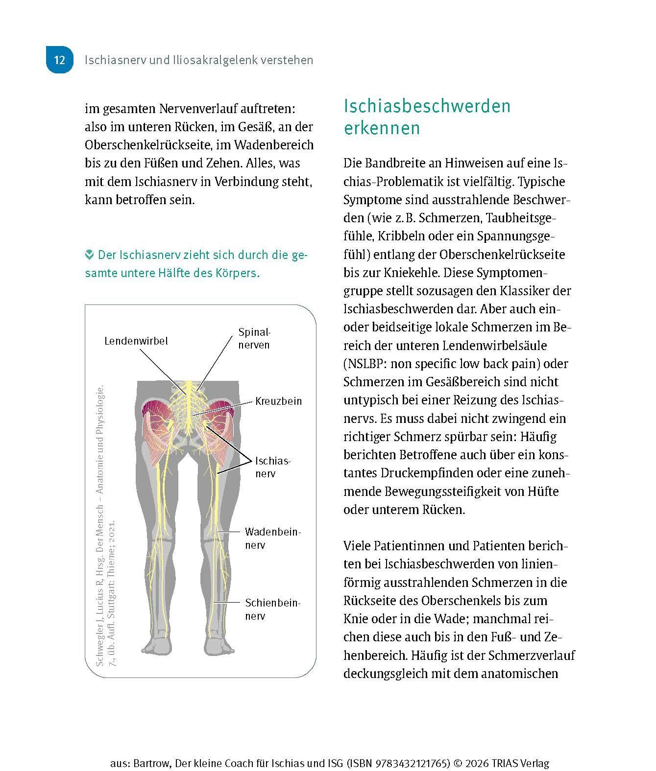 Beispielinhalt (Bild) Der kleine Coach für Ischias und ISG