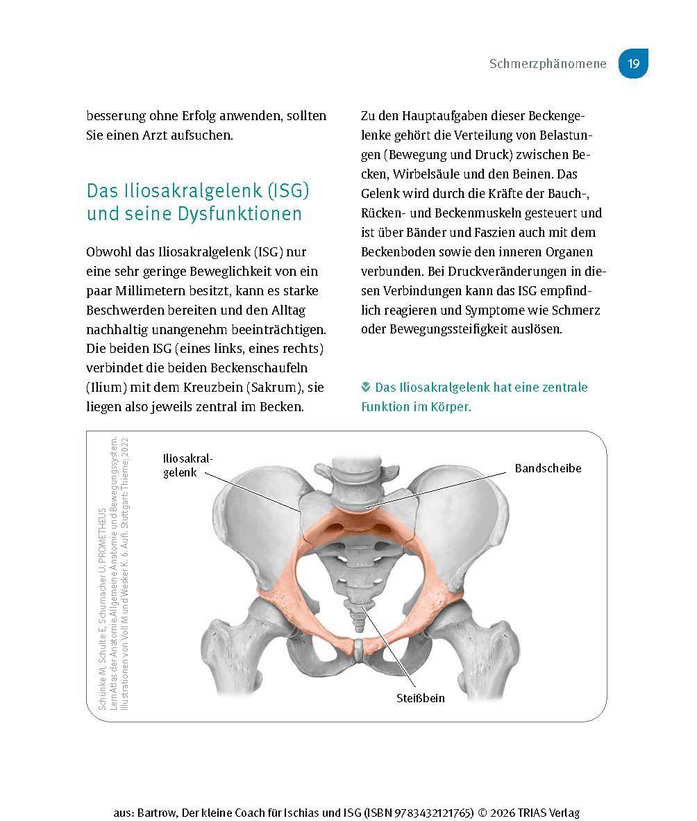 Beispielinhalt (Bild) Der kleine Coach für Ischias und ISG