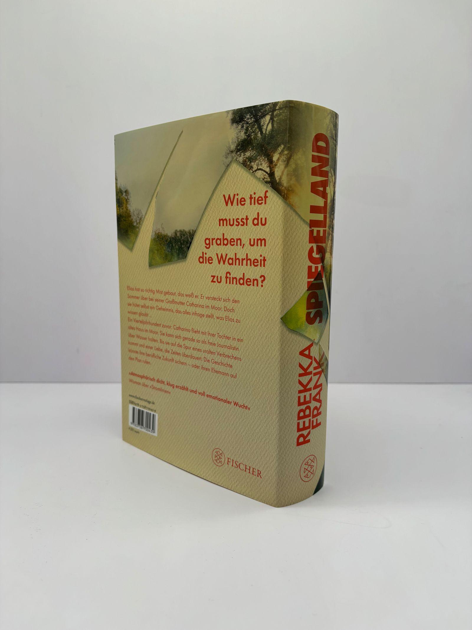 Beispielinhalt (Bild) Spiegelland