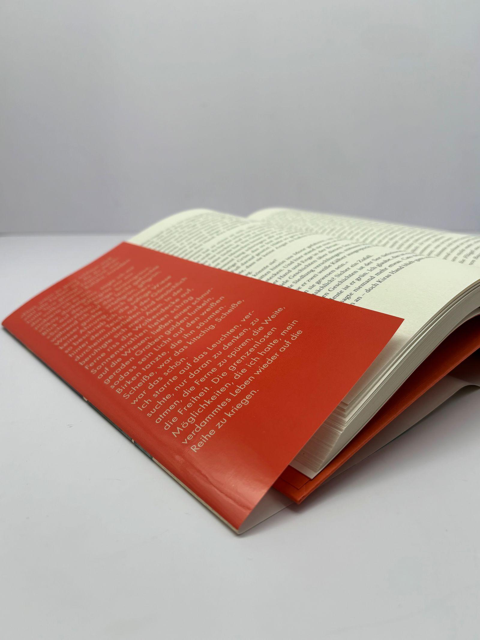 Beispielinhalt (Bild) Spiegelland