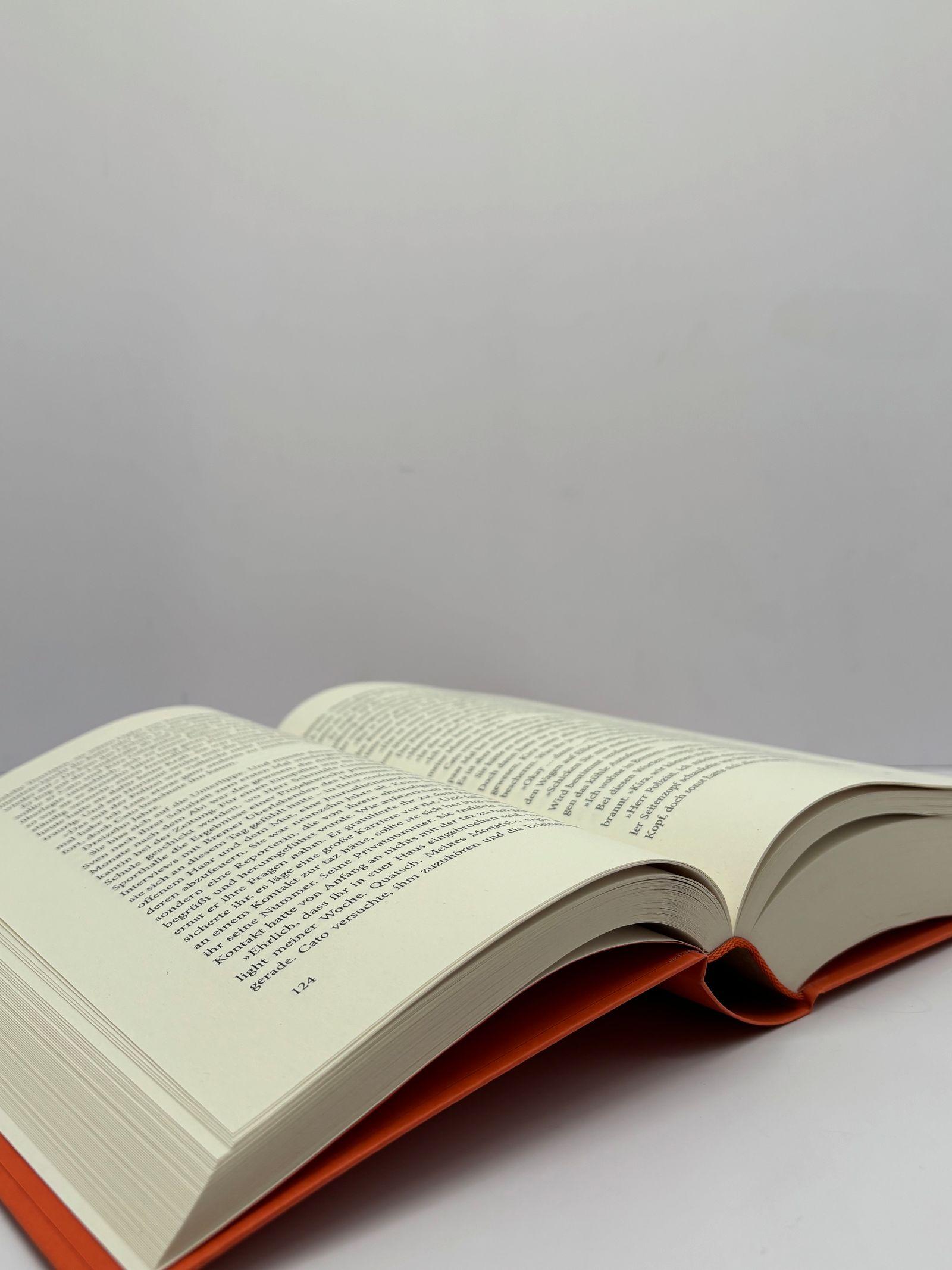 Beispielinhalt (Bild) Spiegelland