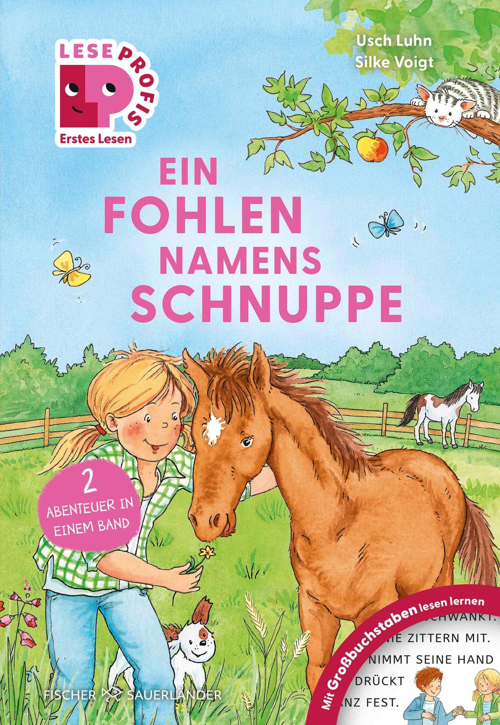 Vorderes Coverbild Leseprofis - GROSSBUCHSTABEN: EIN FOHLEN NAMENS SCHNUPPE, 1. Klasse