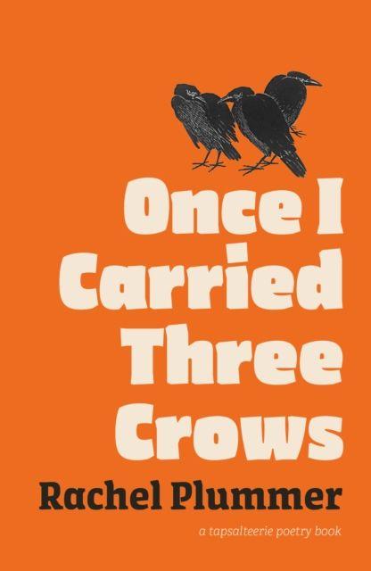 Vorderes Coverbild Once I Carried Three Crows