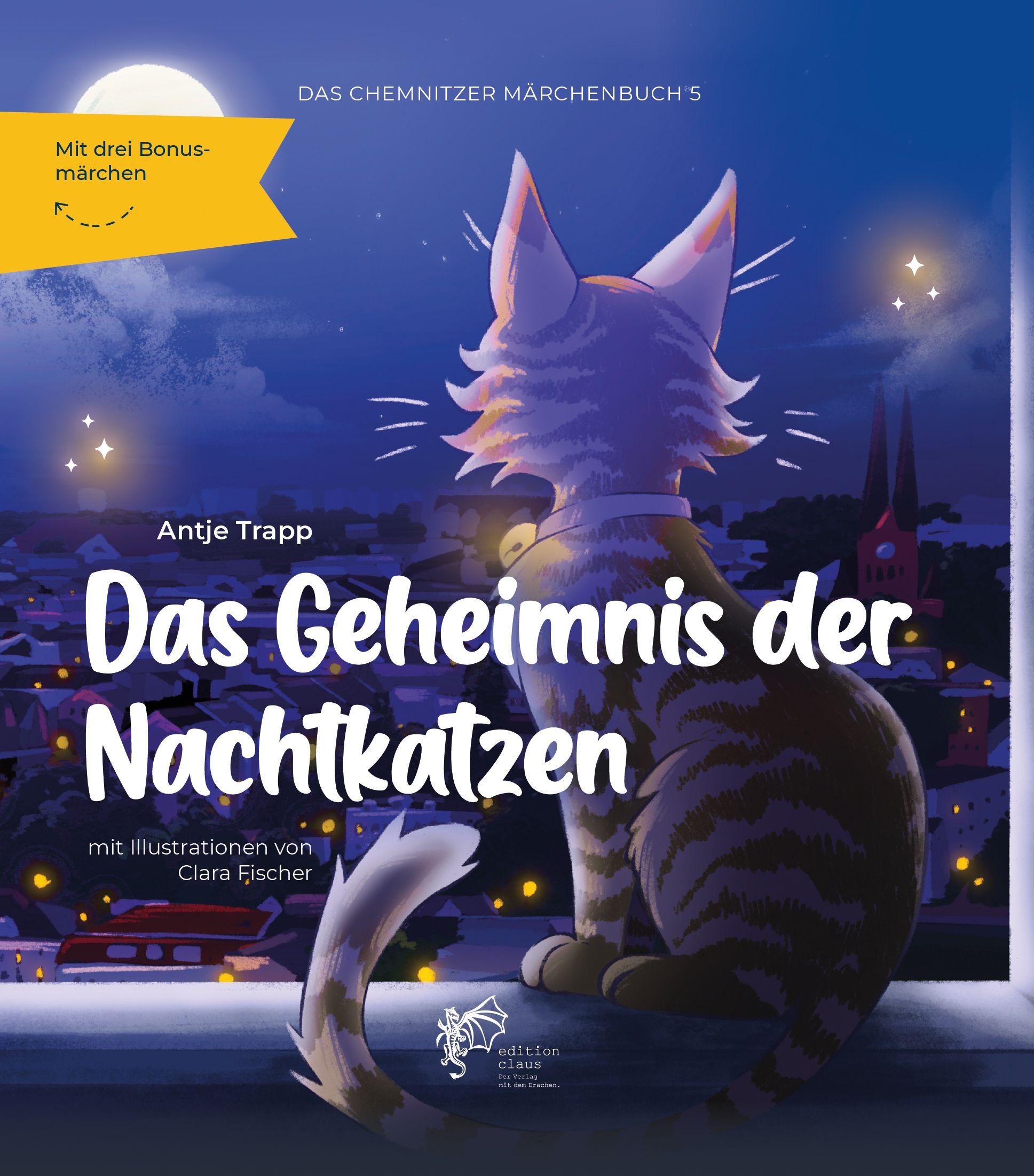 Vorderes Coverbild Das Geheimnis der Nachtkatzen