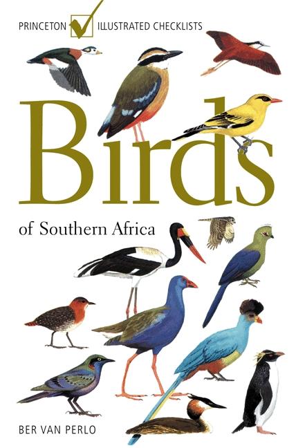Vorderes Coverbild Birds of Southern Africa