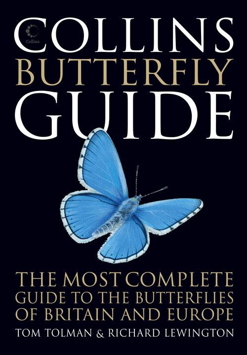 Vorderes Coverbild Collins Butterfly Guide