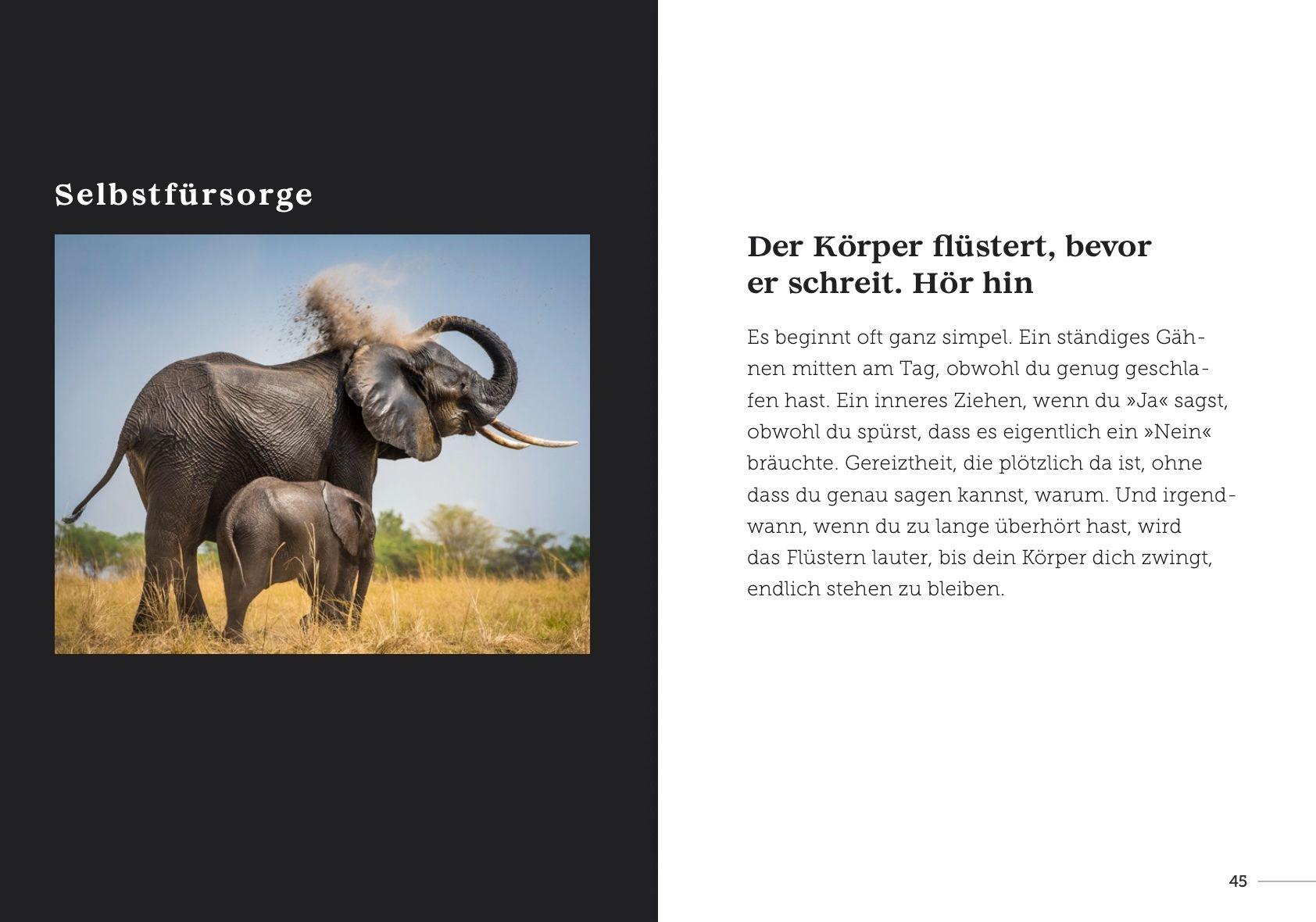 Beispielinhalt (Bild) babysteps