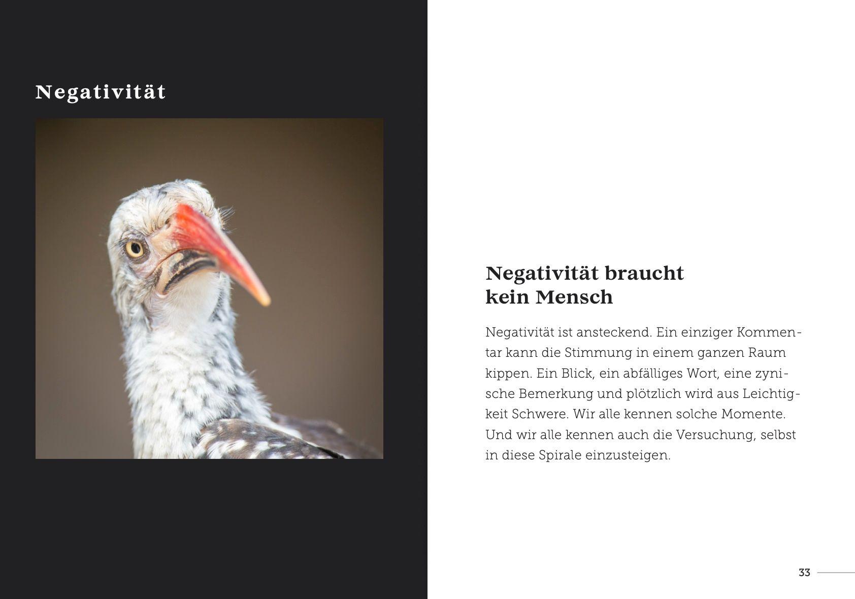 Beispielinhalt (Bild) babysteps