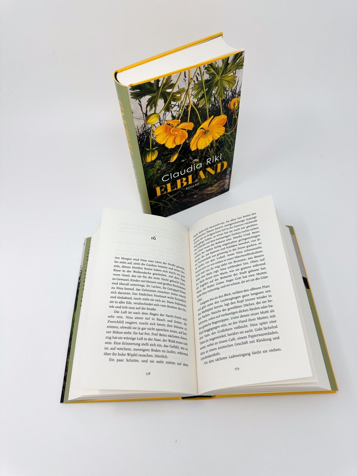 Beispielinhalt (Bild) Elbland