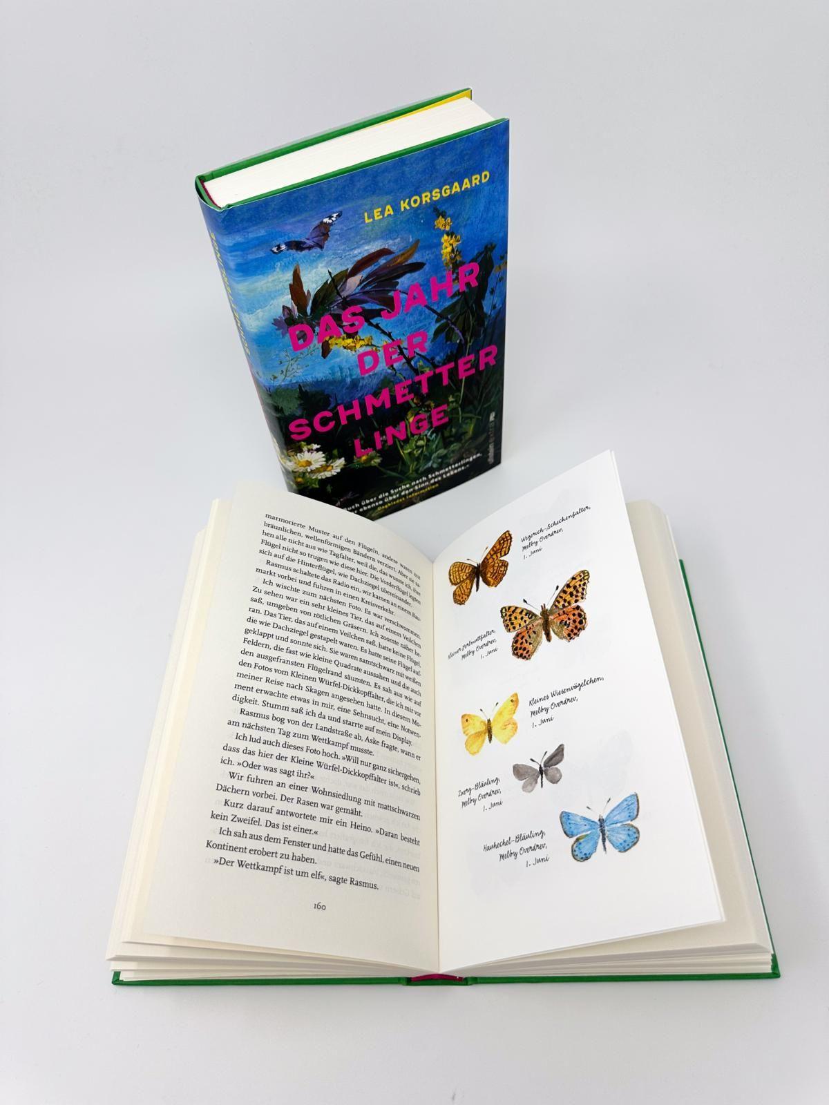 Beispielinhalt (Bild) Das Jahr der Schmetterlinge