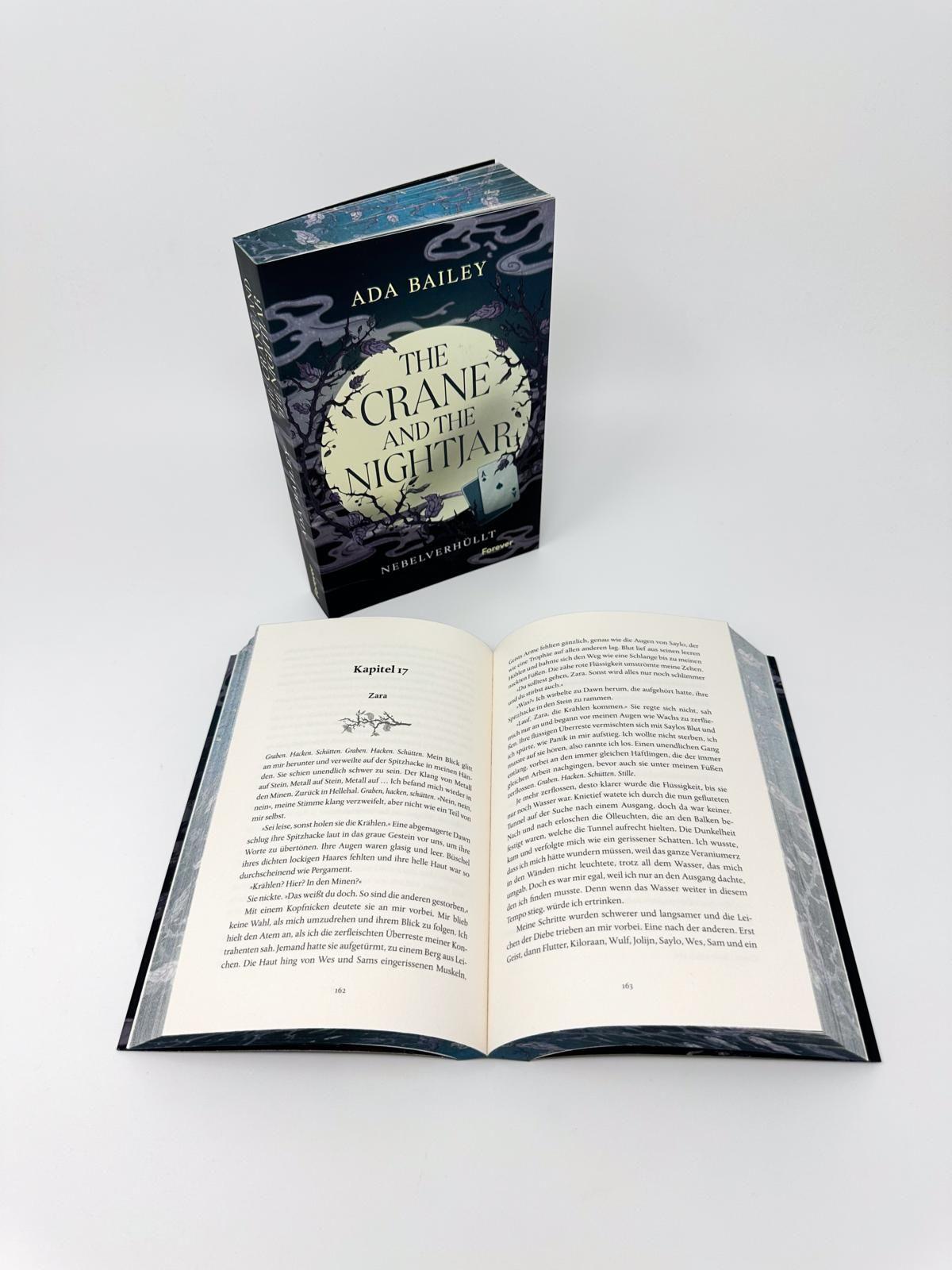 Beispielinhalt (Bild) The Crane and the Nightjar