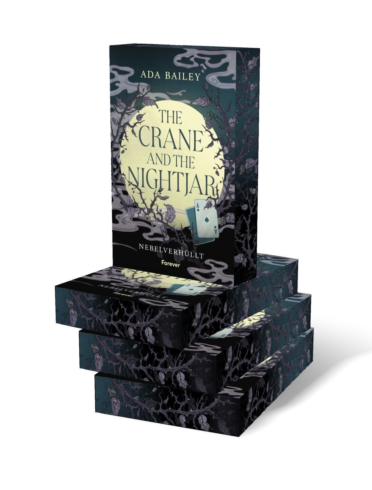 Beispielinhalt (Bild) The Crane and the Nightjar