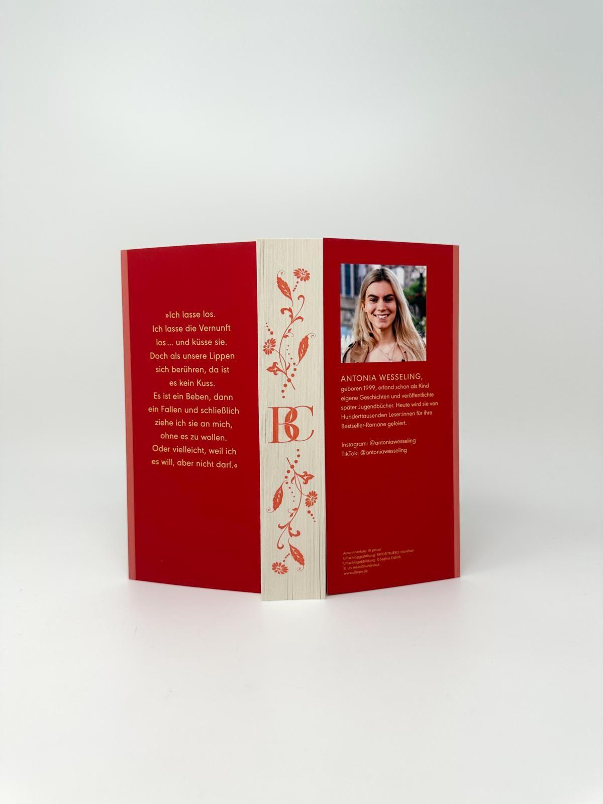 Beispielinhalt (Bild) Les Bouttiers - Wir sind jetzt