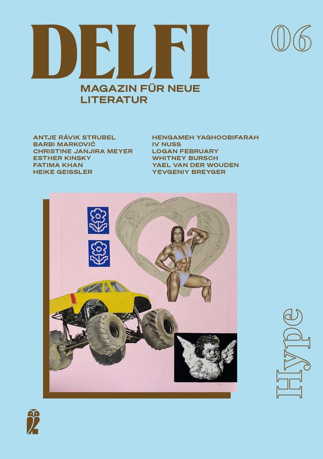 Vorderes Coverbild Delfi Hype