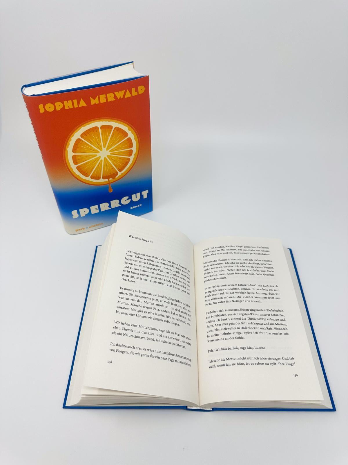 Beispielinhalt (Bild) Sperrgut