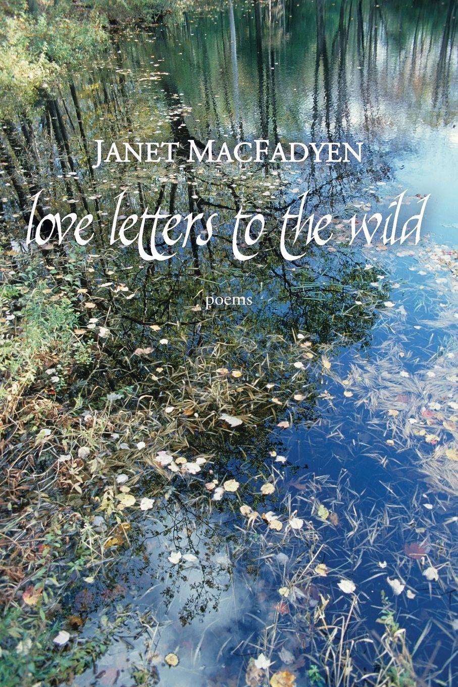 Vorderes Coverbild Love Letters to the Wild