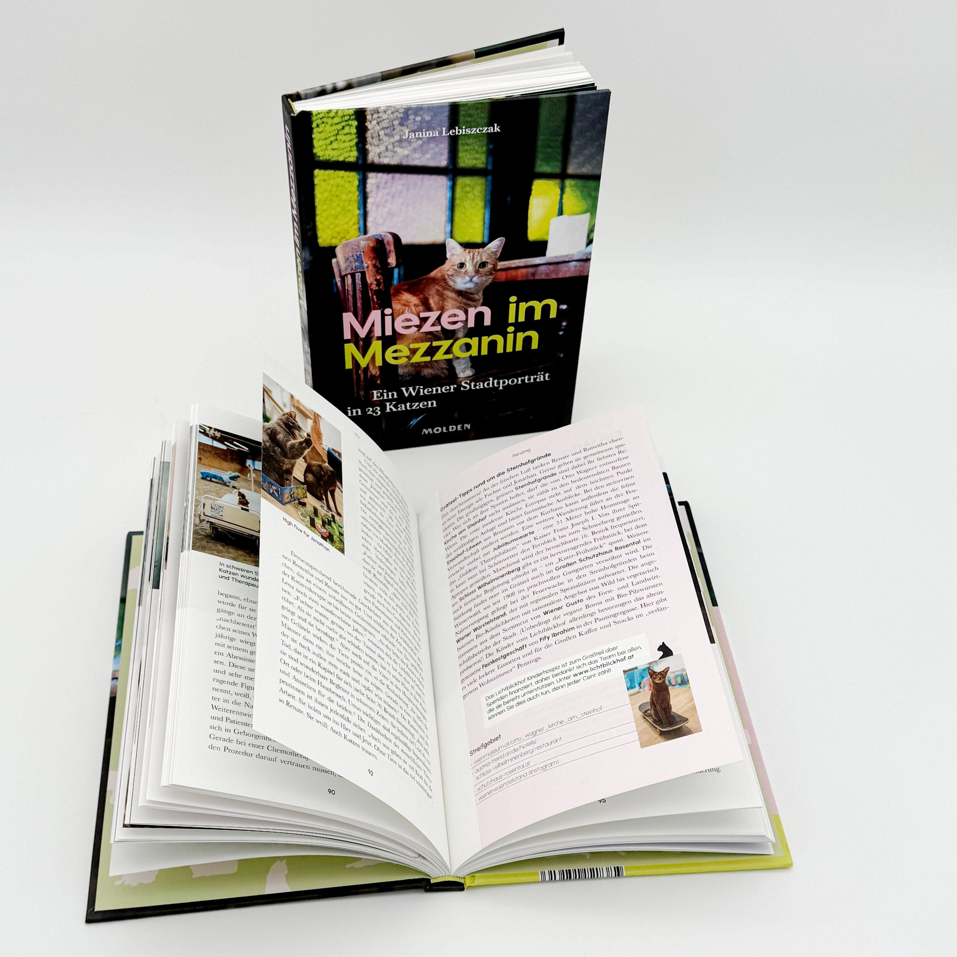 Beispielinhalt (Bild) Miezen im Mezzanin