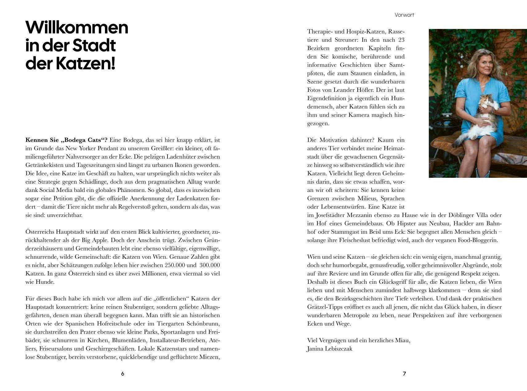 Beispielinhalt (Bild) Miezen im Mezzanin