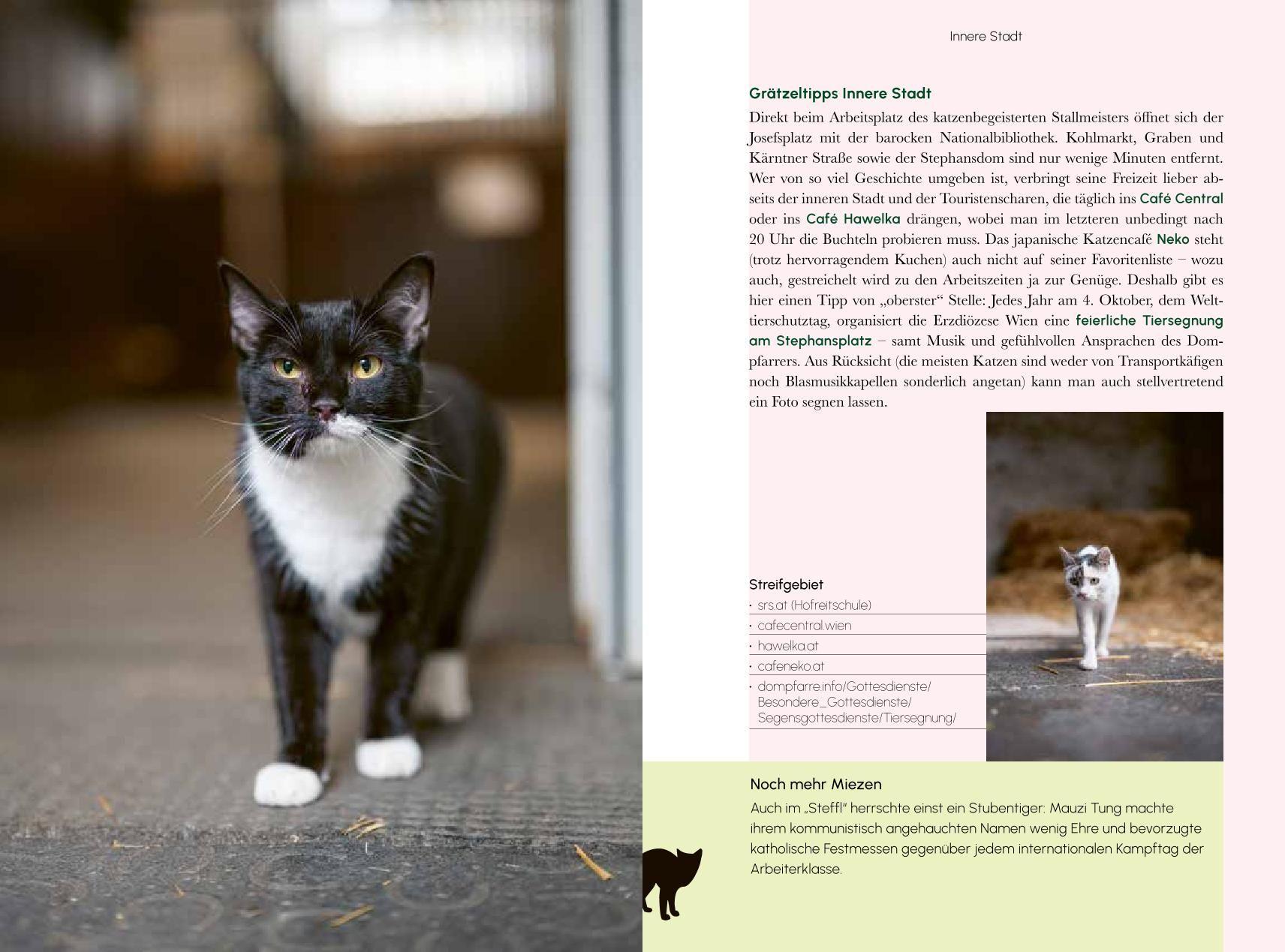 Beispielinhalt (Bild) Miezen im Mezzanin