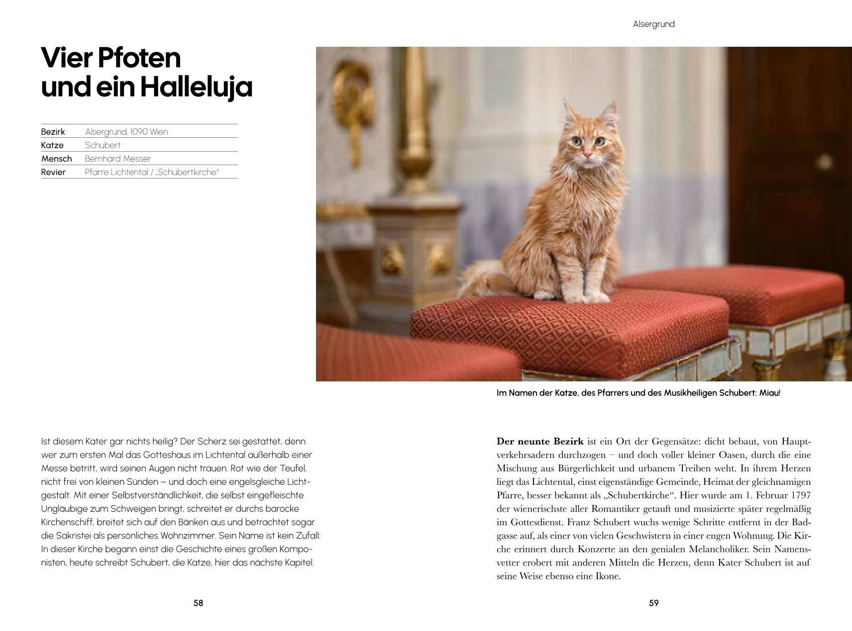 Beispielinhalt (Bild) Miezen im Mezzanin