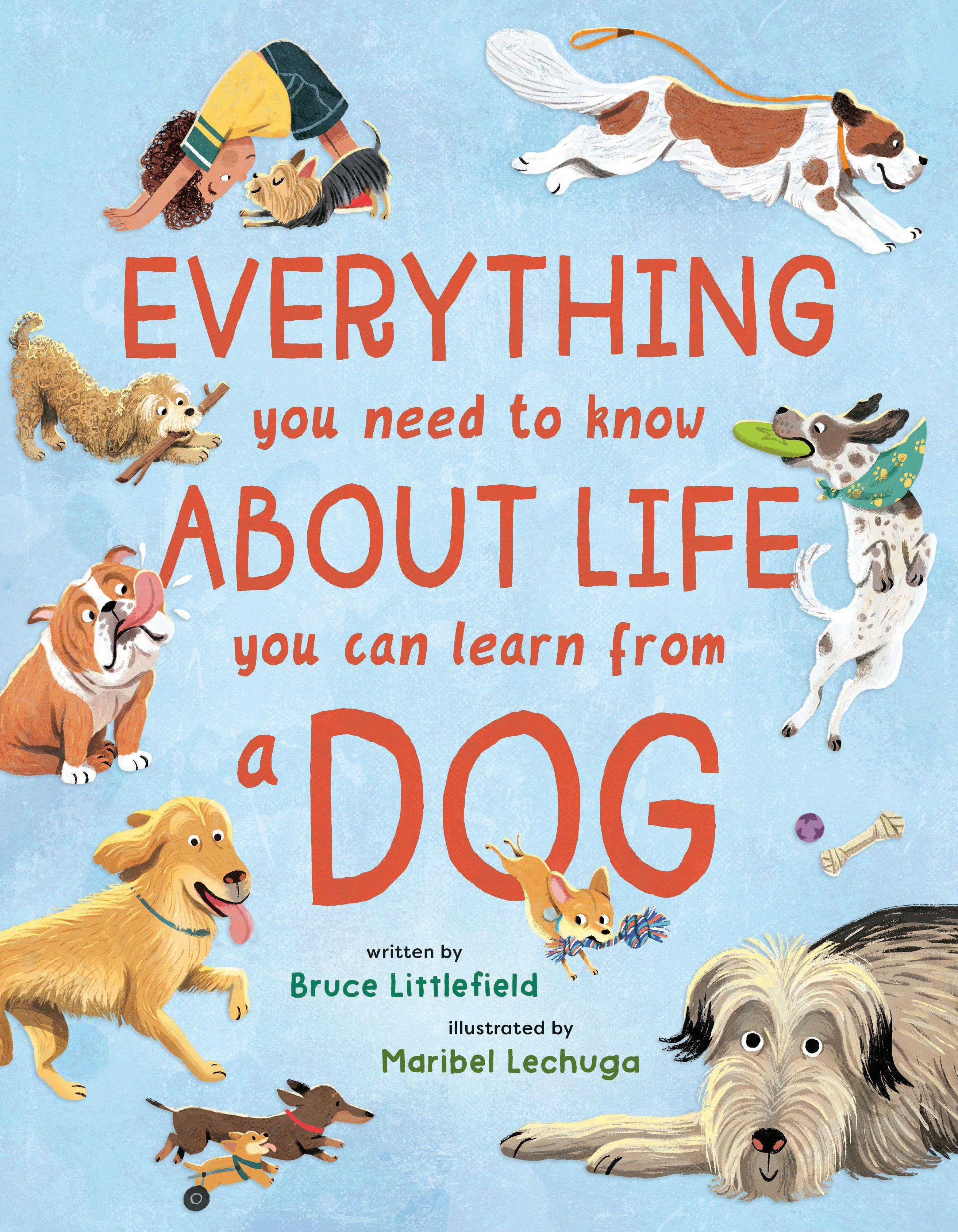 Vorderes Coverbild Everything You Need to Know about Life You Can Learn from a Dog