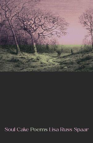 Vorderes Coverbild Soul Cake