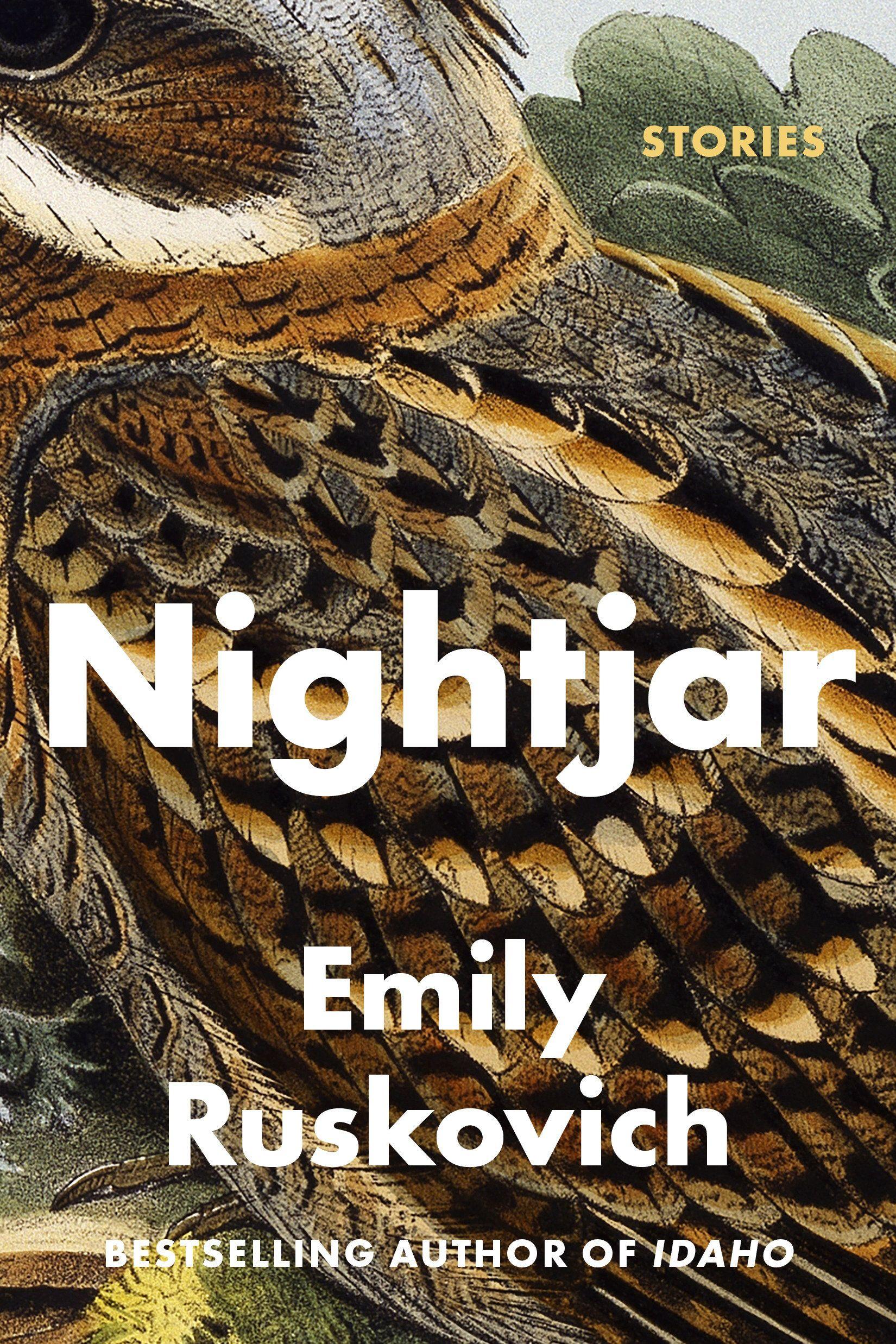 Vorderes Coverbild Nightjar