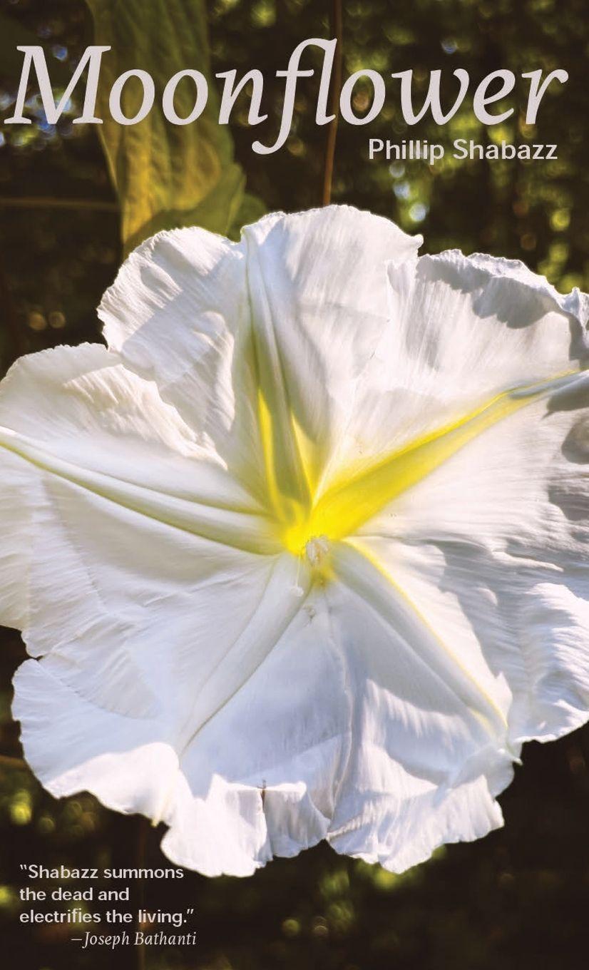 Vorderes Coverbild Moonflower