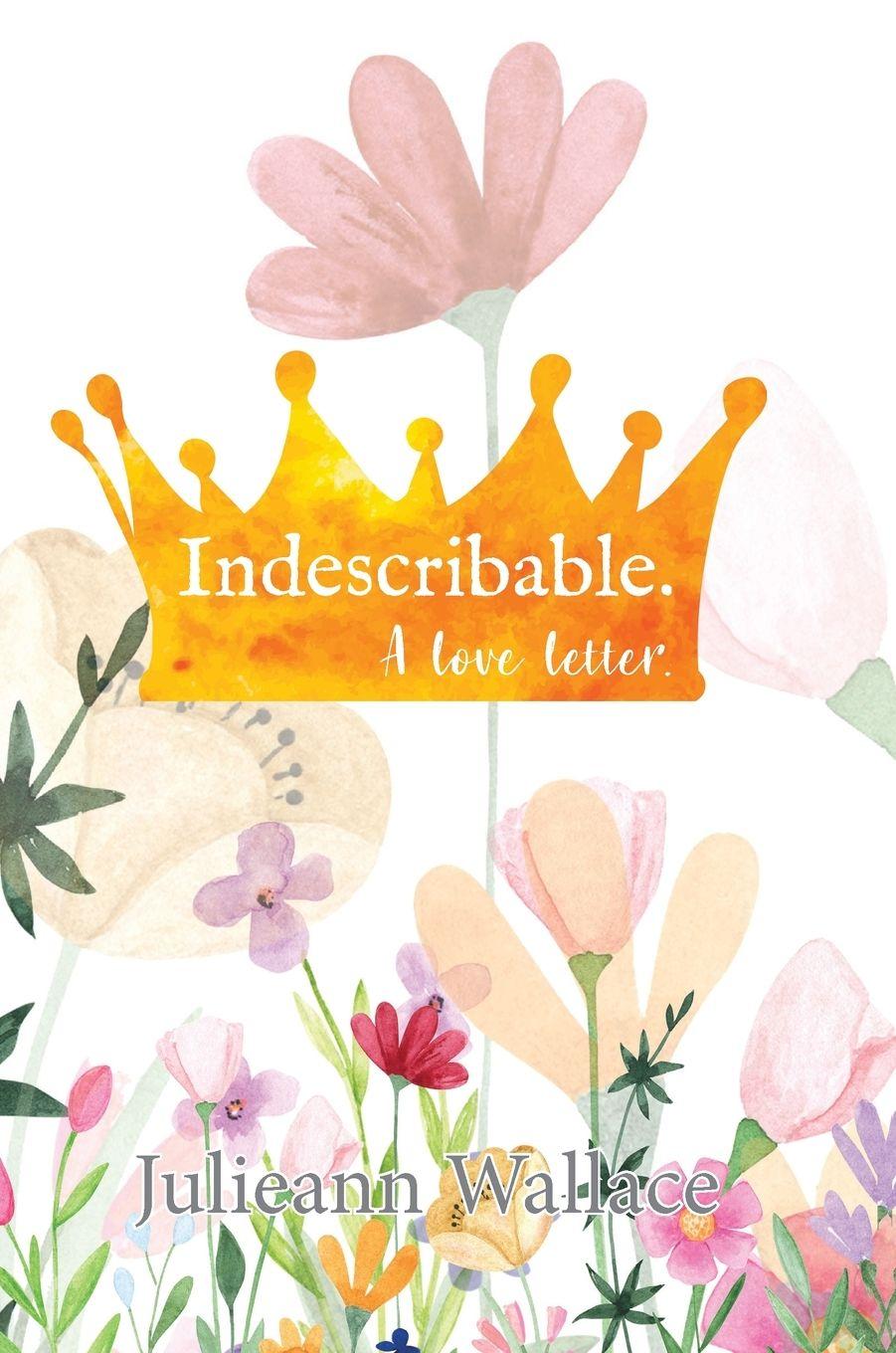 Vorderes Coverbild Indescribable