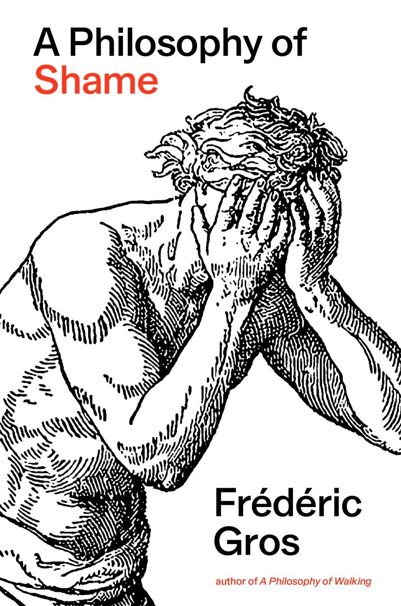 Vorderes Coverbild A Philosophy of Shame