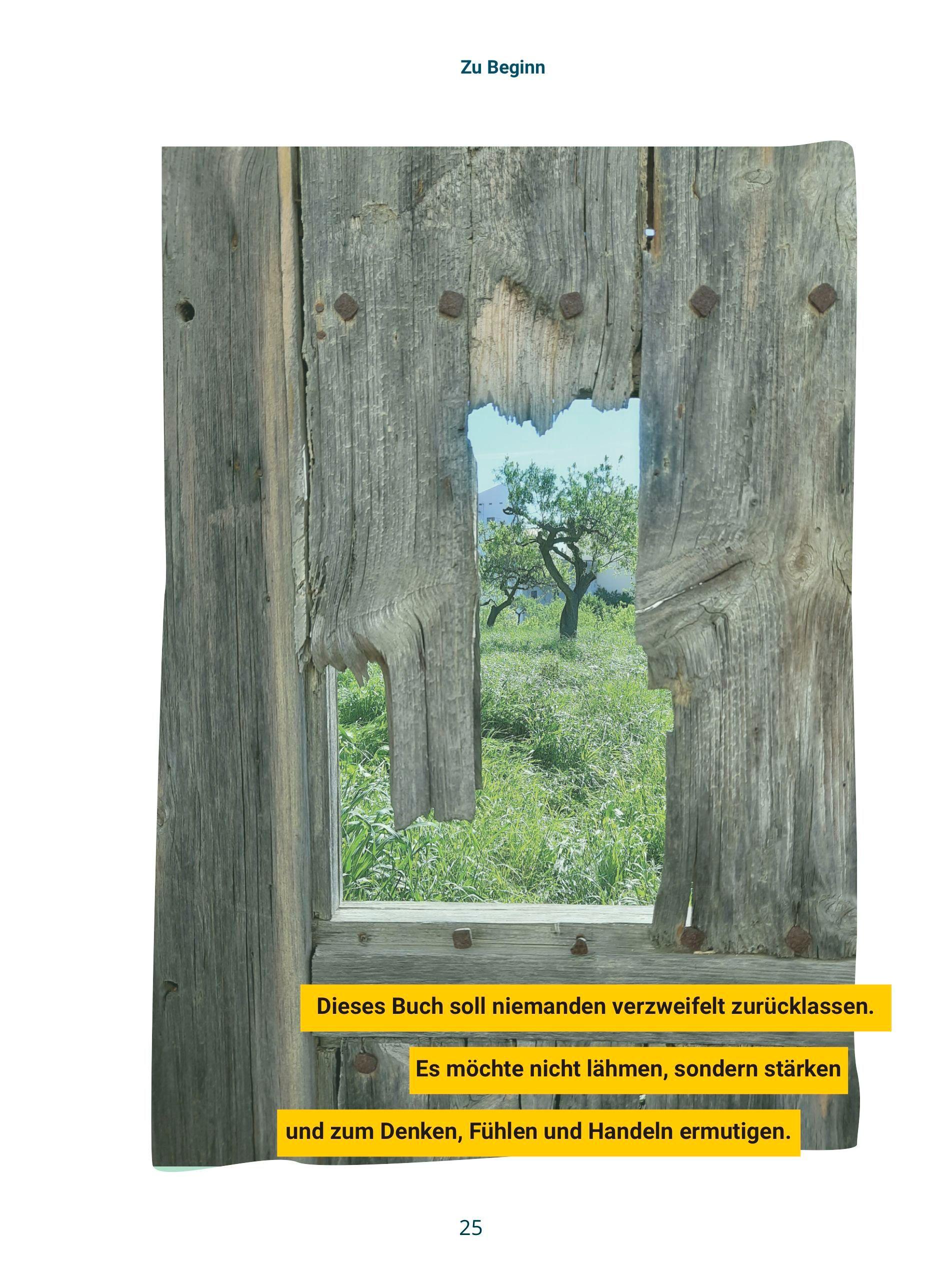 Beispielinhalt (Bild) Kindheit am Kipppunkt