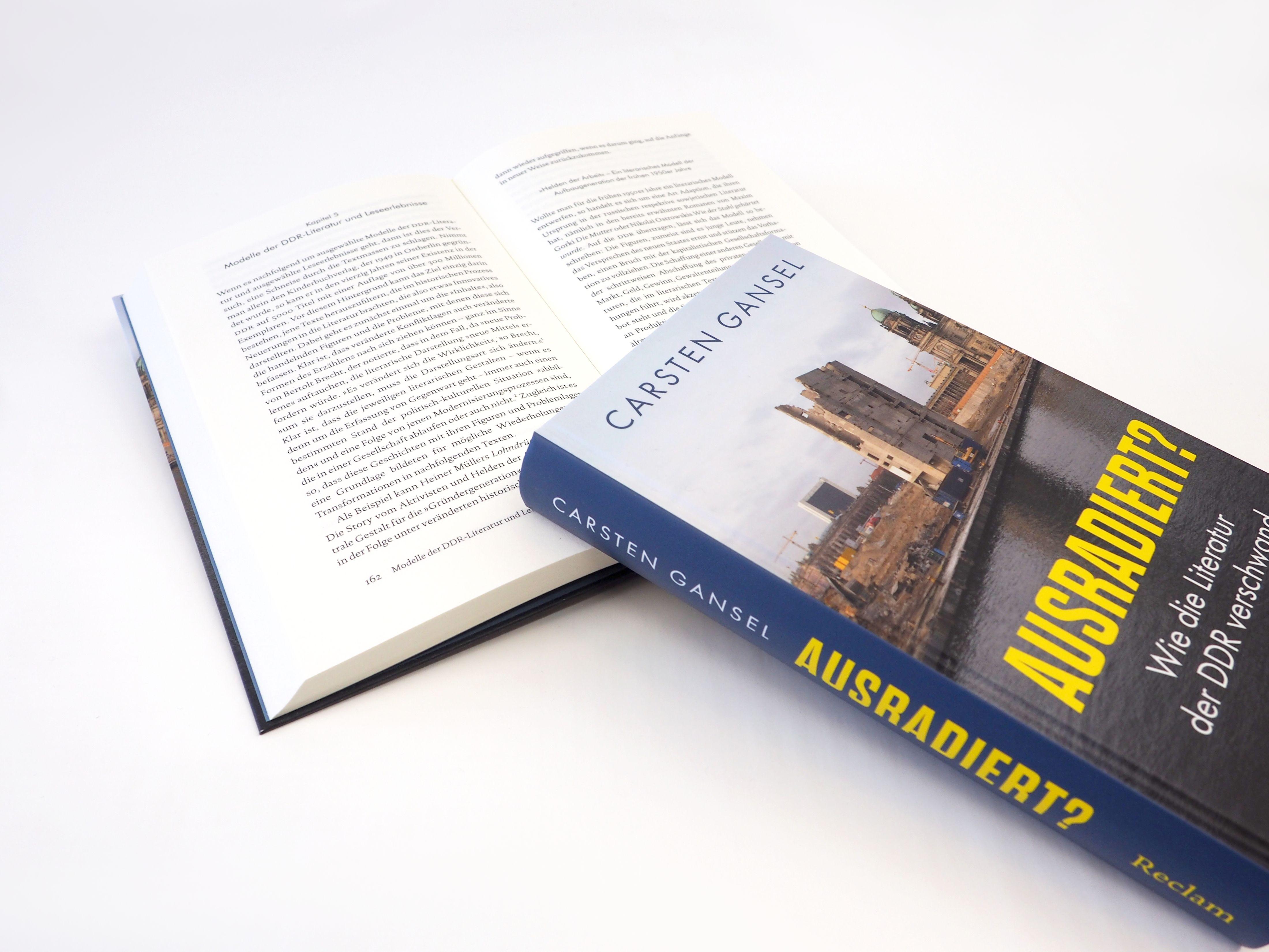 Beispielinhalt (Bild) Ausradiert?