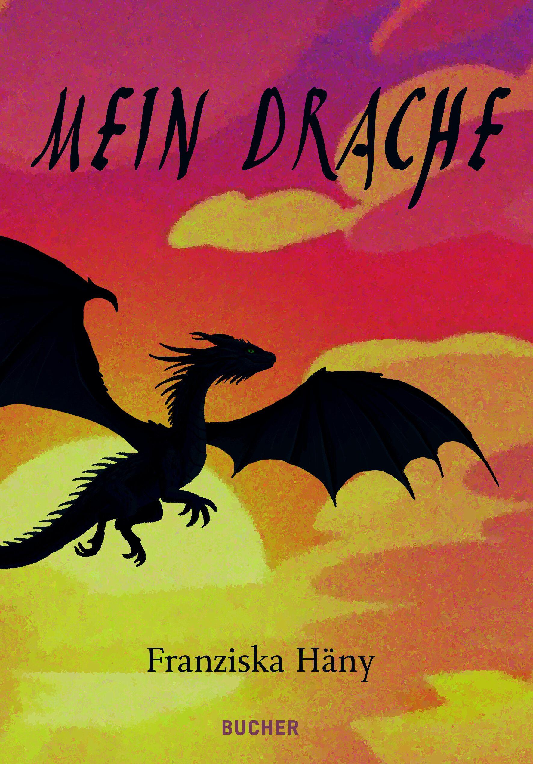 Vorderes Coverbild Mein Drache