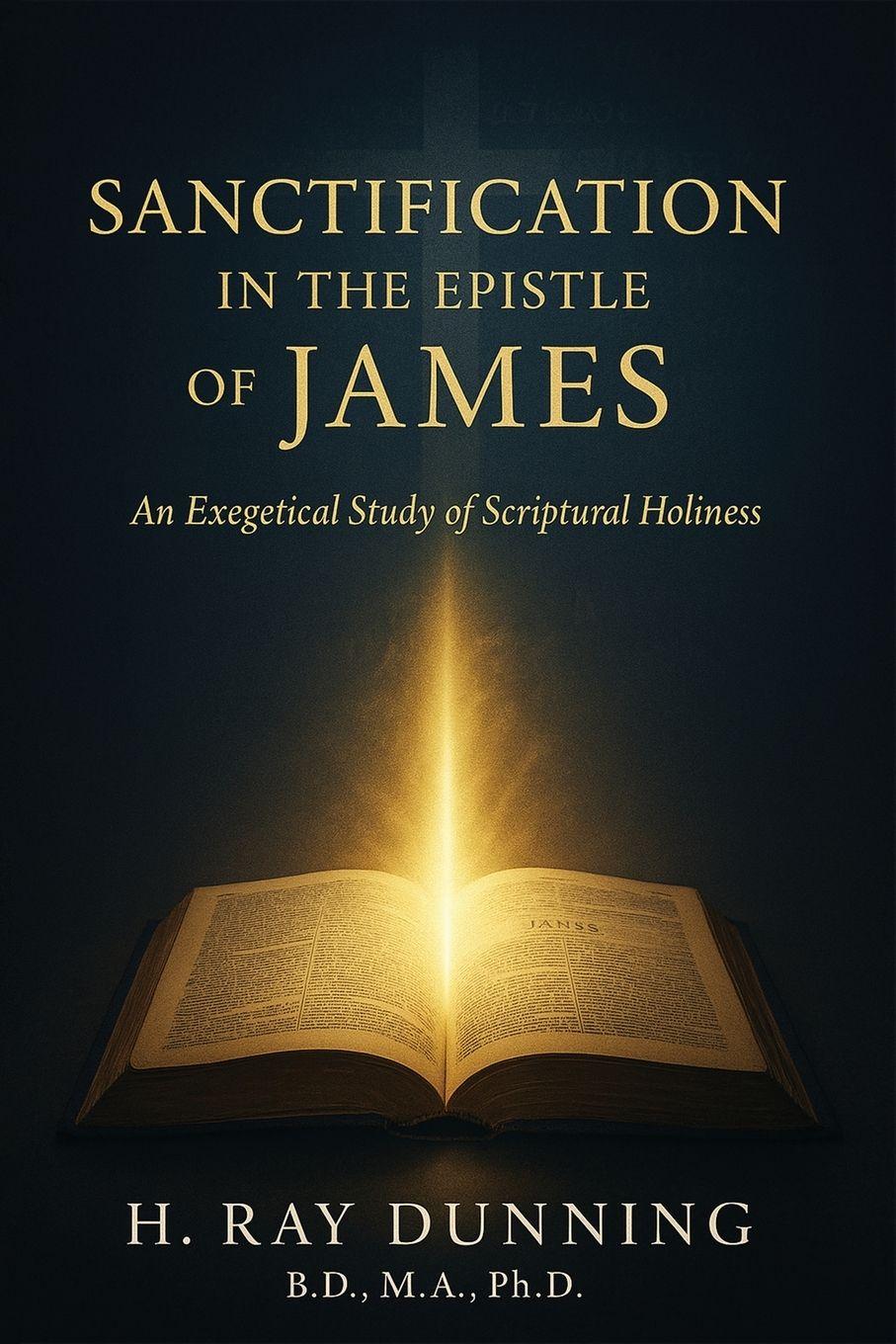Vorderes Coverbild Sanctification in the Epistle of James