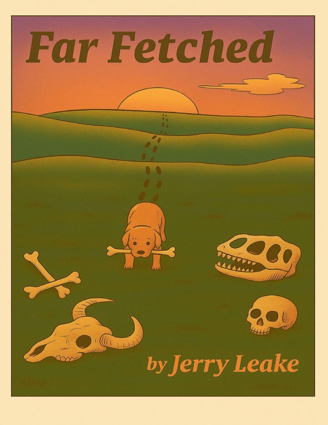 Vorderes Coverbild Far Fetched