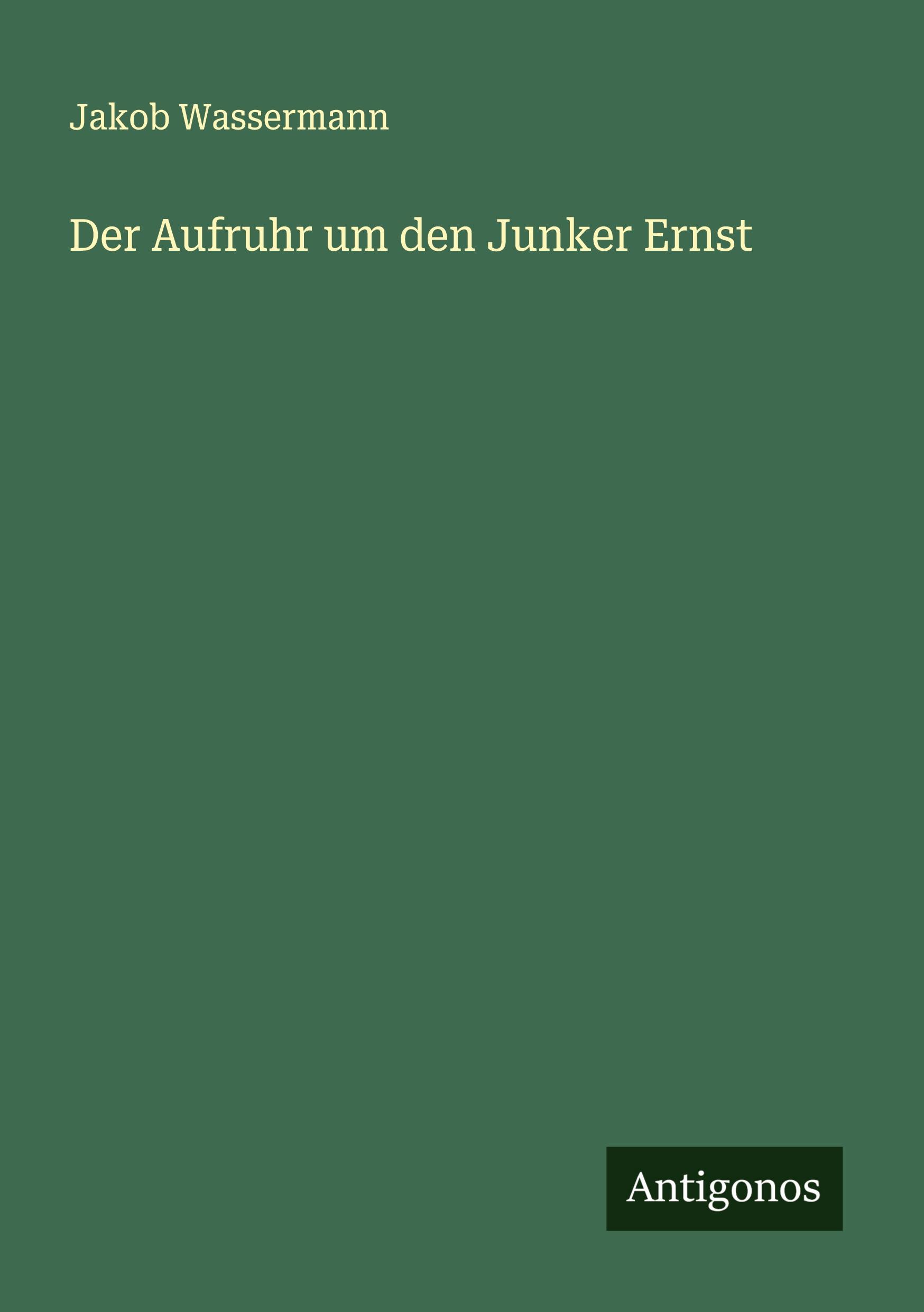 Vorderes Coverbild Der Aufruhr um den Junker Ernst